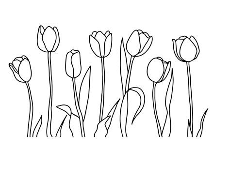 Tulips Outline Spring Svg Svg Download File Plotter File Etsy