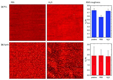 Representative AFM Images Of A PLL And B Spdn Modified Mica