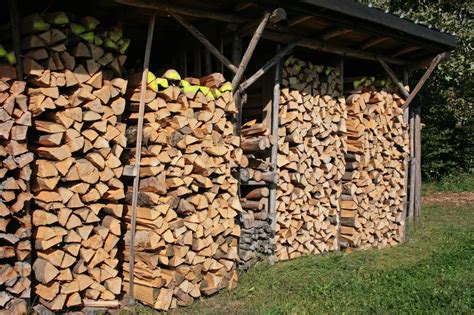 How To Store Firewood To Avoid Termites Captain Patio