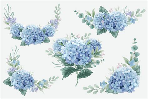 Blue Hydrangea Flowers Bouquets 2947672 Vector Art At Vecteezy