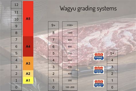 All You Need To Know About Wagyu Grading Systems 178 Degrees Hk