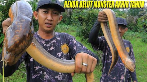 Amazing Mancing Belut Dengan Strike Terbaik 2022 Youtube