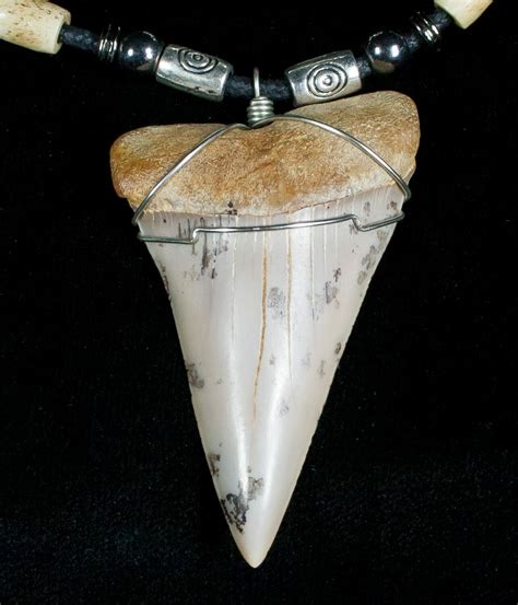 Fossil Mako Tooth Necklace Bakersfield Ca For Sale