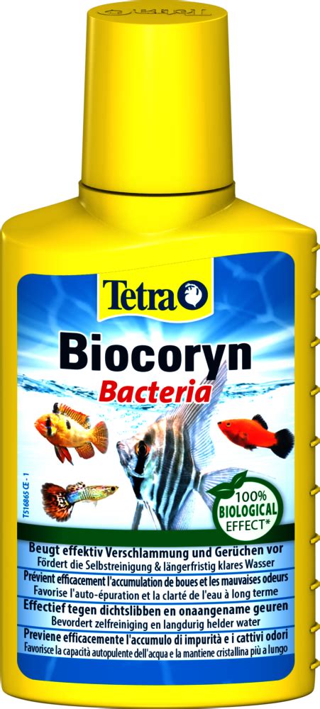 Tetra Biocoryn: Tetra