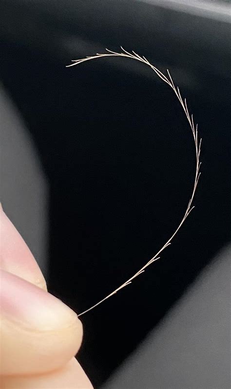 What Causes Split Ends Like This Rhaircarescience