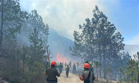 Combaten Fuerzas De Tarea 3 Incendios Forestales En El Estado