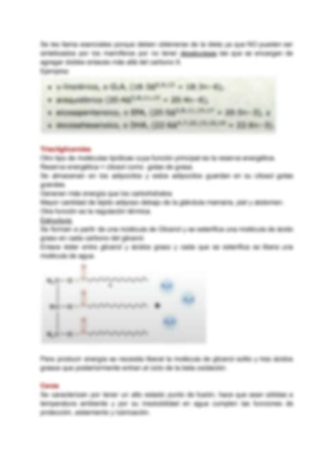 Solution Resumen Parcial Bioquimica Studypool