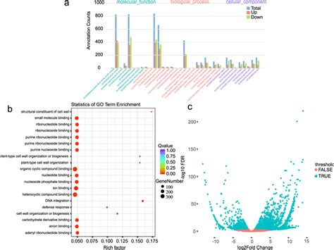 Example Of Differential Gene Expression Analysis And The Enrichment In Download Scientific