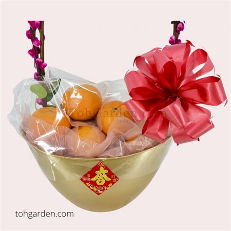 Pussy Willow Arrangement Archives Toh Garden