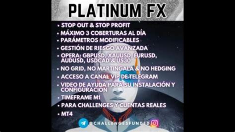 PLATINUM FX EA MT4 YouTube