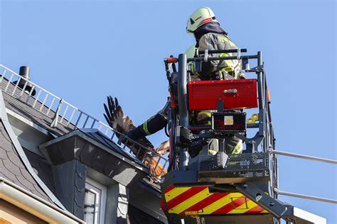 Ungew Hnlicher Einsatz In Hohenstein Ernstthal Feuerwehr Befreit