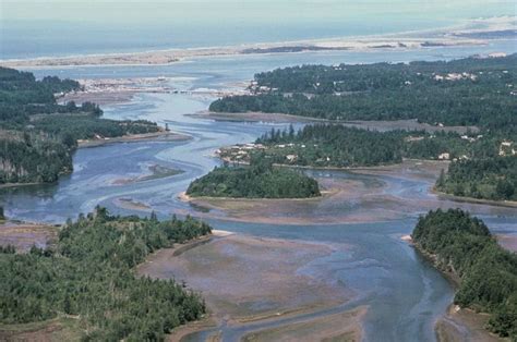 Losing A Hectare Of Wetlands Could Cost Per Year In Flood