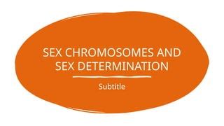 Sex Chromosomes And Sex Determination Pptx