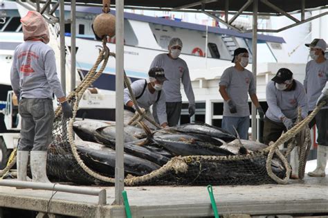 Dará inicio la temporada de captura de atún en el Océano Pacífico