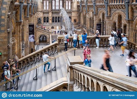 The Hintze Hall At The Natural History Museum In London Editorial Stock