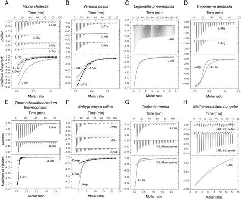 Amino Acid Sensor Conserved From Bacteria To Humans Aryan S Blog