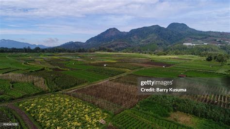 Malang East Java ストックフォト Getty Images