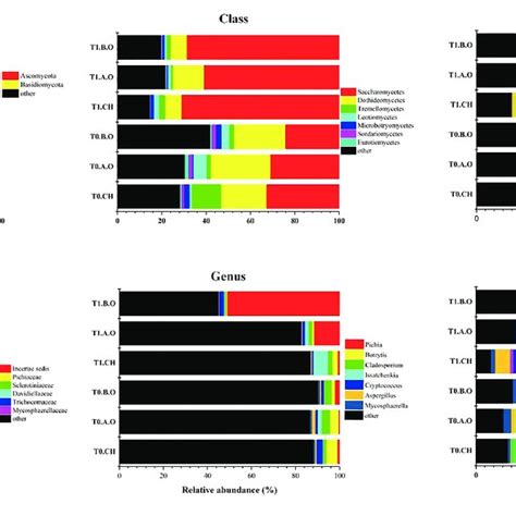 Composition Of Predominant Fungi Abundance 0 5 At Different