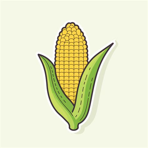 Sweet organic corncob in illustration on white background 23506883 ...