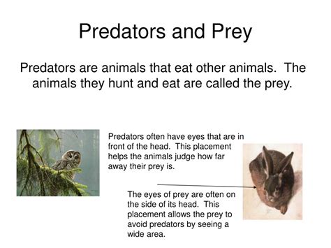 Ppt How Do Organisms Interact And Depend On One Another In An