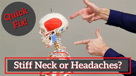 Stiff Neck Or Headaches Try This Quick Fix By Physical Therapists