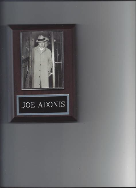 Joe Adonis Plaque Mafia Organized Crime Mobster Mob Ebay