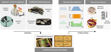 Neuromorphic Hardware For Somatosensory Neuroprostheses Nature