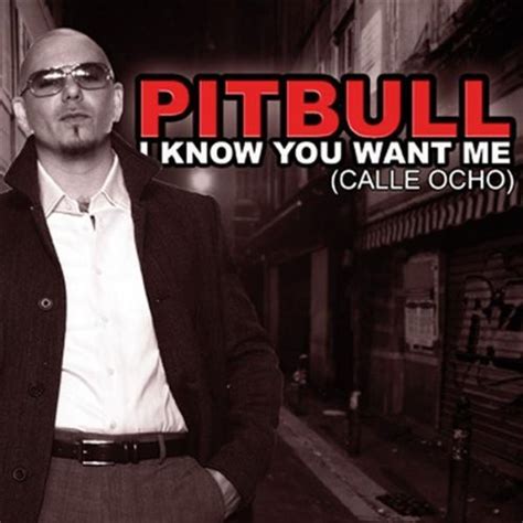 Pitbull - I Know You Want Me (Calle Ocho) (File, MP3, Single) | Discogs