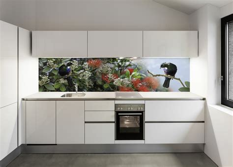 Glass Splashbacks Colours | Quick Tips Regarding