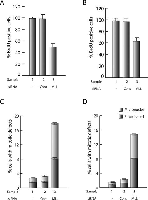 Mll Rnai Gives Rise To Cell Proliferation And Mitotic Defects In Mcf