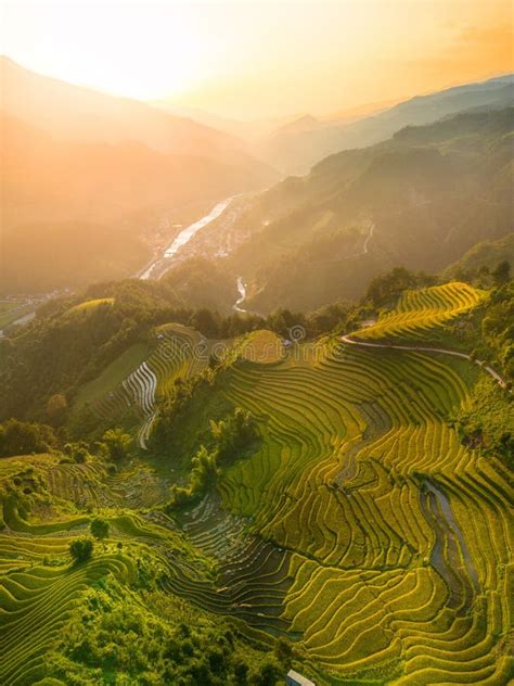 Aerial View Of Golden Rice Terraces At Mu Cang Chai Town Near Sapa City