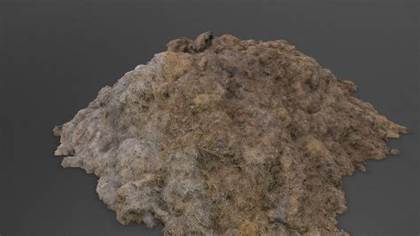 Wet Farm Manure Hay Pile Stack Buy Royalty Free 3D Model By