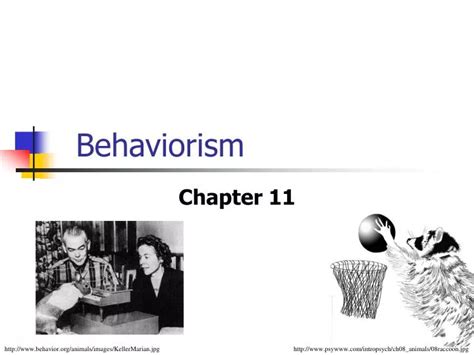 Ppt Behaviorism Powerpoint Presentation Free Download Id 5572881