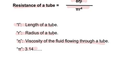 Physiology Final Exam Flashcards Quizlet