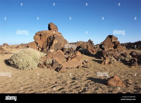 Landschaft Bei Teide Nationalpark Hi Res Stock Photography And Images