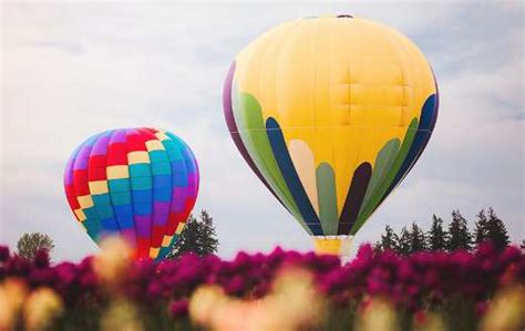 Two Assorted Color Hot Air Balloon Online Jigsaw Puzzles