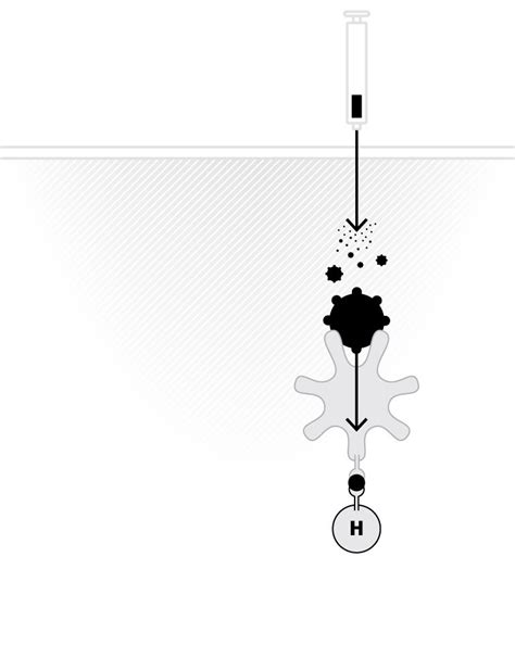 How the Novavax technology is different from other coronavirus vaccines ...