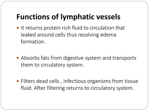 Lymphatic System Pptx