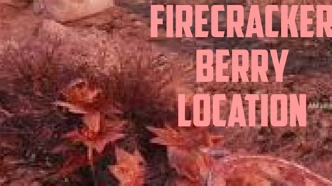 Fallout Firecracker Berry Location Youtube