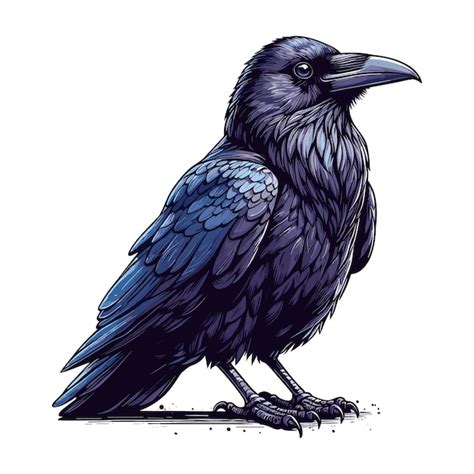 Premium Vector Raven Vector Cartoon Illustration