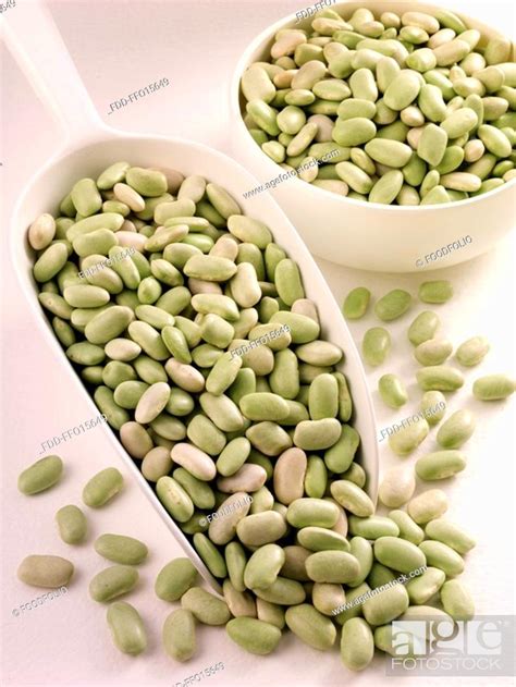 Flageolet Beans In Scoop Non Exclusive Stock Photo Picture And