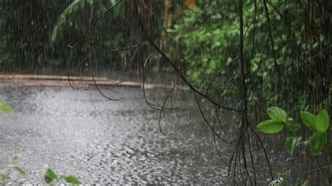 10 Hours Heavy Rain Sounds On Village Ponds For Relax Heavy Strong