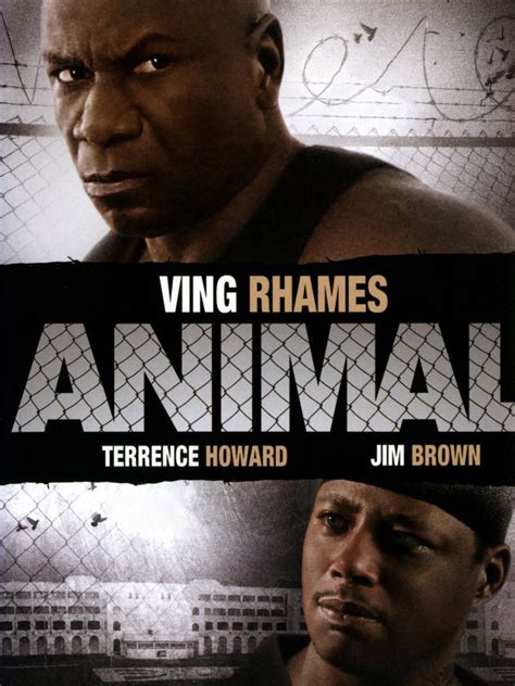 Animal (2005) - Rotten Tomatoes