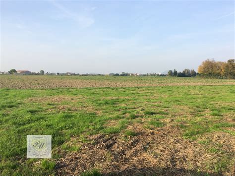 Terreno Agricolo Ospedaletto Euganeo