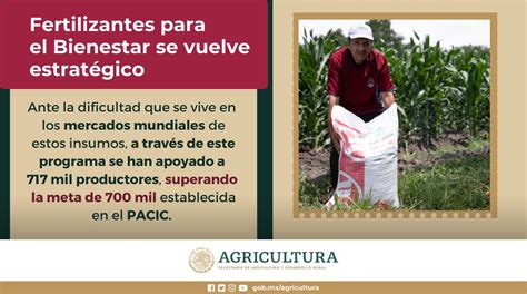 Agricultura On Twitter El Programa De FertilizantesParaElBienestar