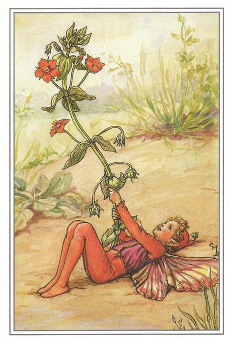 Scarlet Pimpernel Fairy Cicely Mary Barker Flower Fairies Etsy