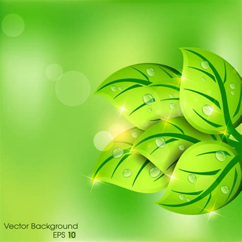 Shiny Green Leaves Background Design Vector 05 Free Download