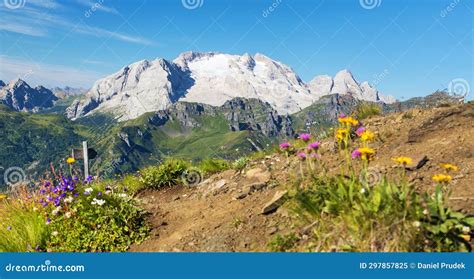 Mount Marmolada Peak Flowers Alps Dolomites Mountains Stock Image