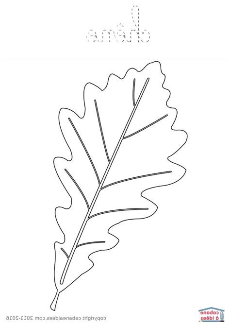 Arbre Sans Feuille Coloriage Cool Photos Coloriage Arbres Imprimer Avec