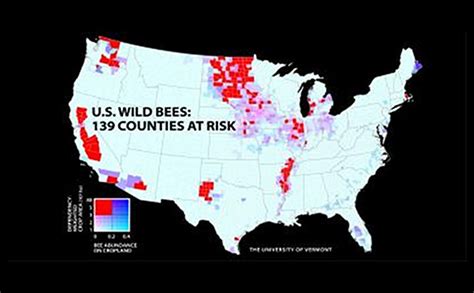 Wild Bee Decline Threatens Us Crop Production Eurasia Review